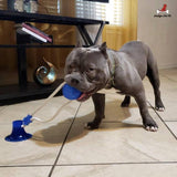 Suction Cup Dog Tug Toy - Keep Your Dog Busy For Hours
