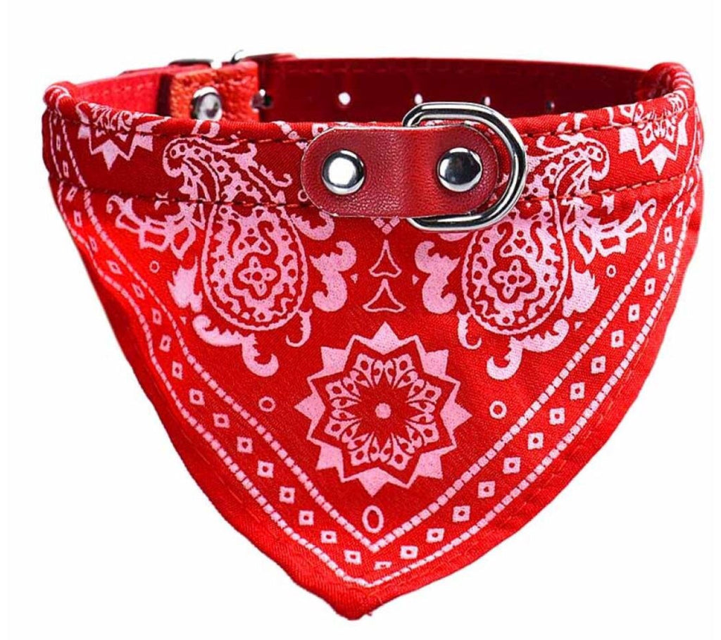 Bandana Pet Collar – IndigoPetco.com