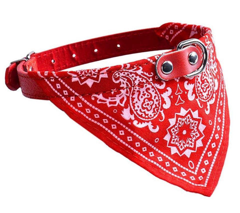 Red Bandana Collar