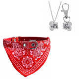 Bandana Pet Collar & Best Friends Necklace Set