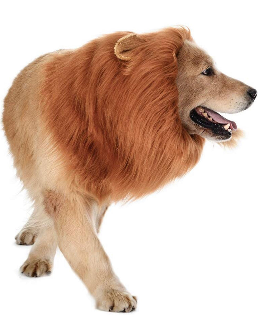 The Lion King Dog Costume
