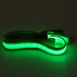 Green LED Glow Leash